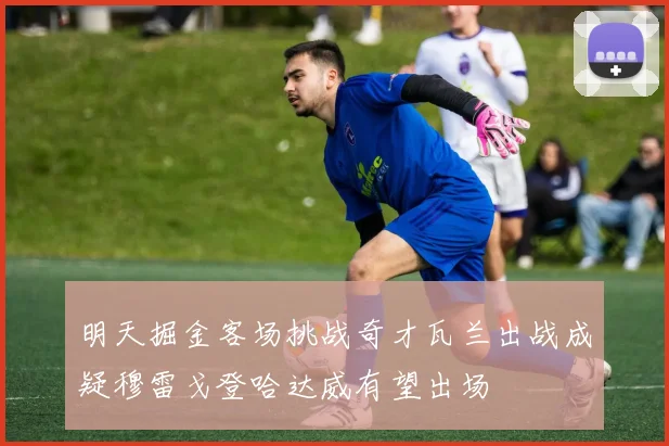 明天掘金客场挑战奇才瓦兰出战成疑穆雷戈登哈达威有望出场